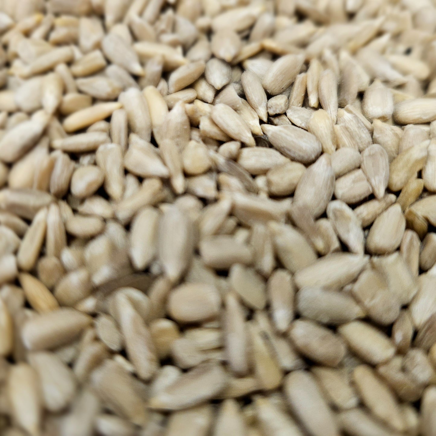 Sunflower Seeds shelled